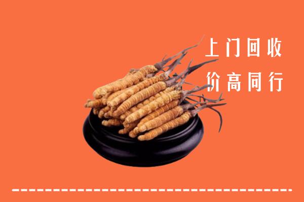收购行情：大庆市让胡路回收散虫草