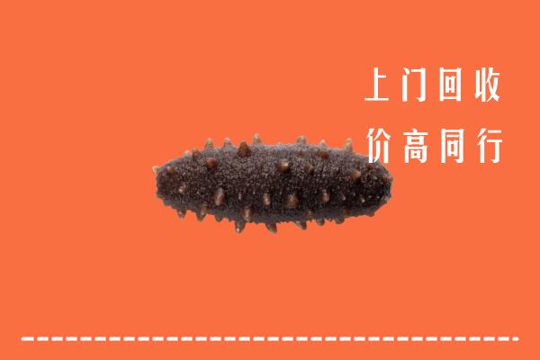 大庆市让胡路回收海参