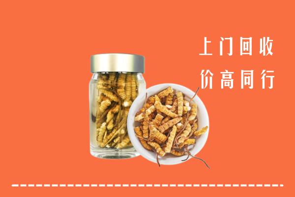 大庆市让胡路回收冬虫夏草